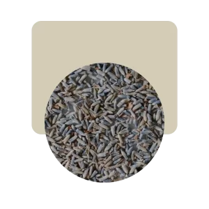 alhucema flor y tallo (lavanda) 50gr