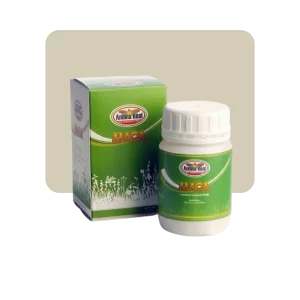 andina real maca 60c