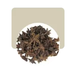 anis estrellado 10gr