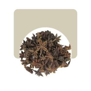 anis estrellado 10gr