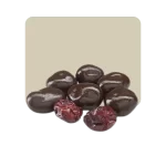Argenfrut Arándanos con Chocolate Semiamargo 100 grs