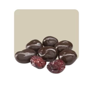 Argenfrut Arándanos con Chocolate Semiamargo 100 grs