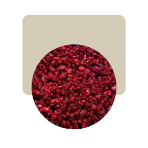 arándanos rojos premium 200gr