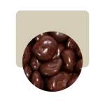 argenfrut arándanos con chocolate semiamargo 200gr