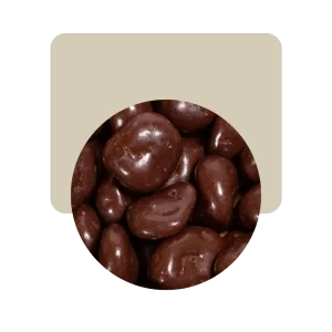 argenfrut arándanos con chocolate semiamargo 200gr