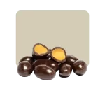 Argenfrut Maní con chocolate semiamargo 100 grs