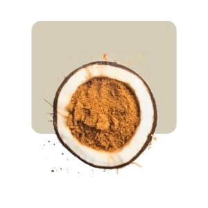 Azúcar de coco (origen Indonesia) 100 grs