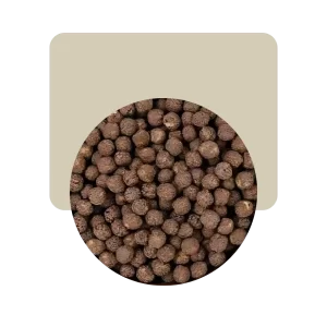 patagonia grains bolitas chocolatadas