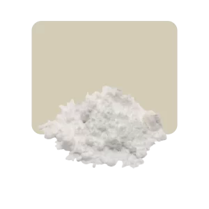 Bebida de Coco en polvo Vegana 100 grs
