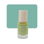 blosst 62 melón