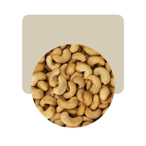 castañas de cajú saladas 100gr