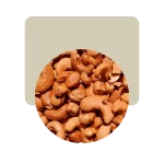 castañas de cajú sin tostar naturales