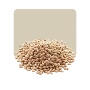 Cebada Perlada 500 grs