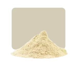 Cebolla en Polvo 50 grs