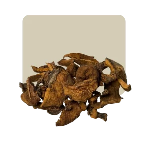 Hongos Desecados Champiñones 25 grs