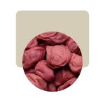 ciruelas umeboshi 50gr