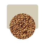 Coriandro en Grano 50 grs