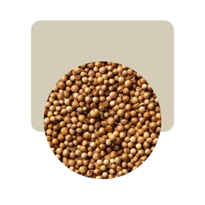 Coriandro en Grano 50 grs