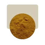 curry hot 50gr
