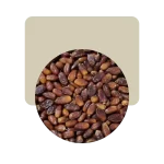 dátiles sin carozo argelia 200gr