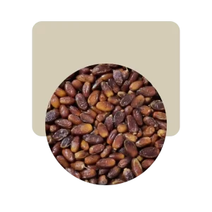 dátiles sin carozo argelia 200gr