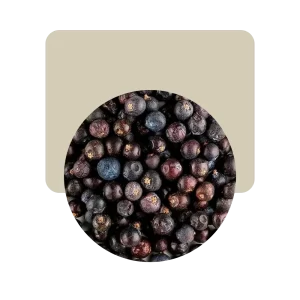 enebro bayas 50gr