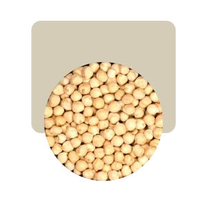 garbanzos 1kg