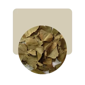 ginkgo biloba 50gr