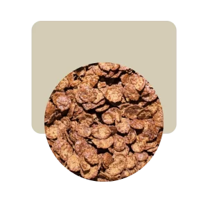 granix copos de arroz con chocolate 100gr
