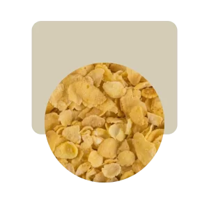 granix copos de maiz 200gr