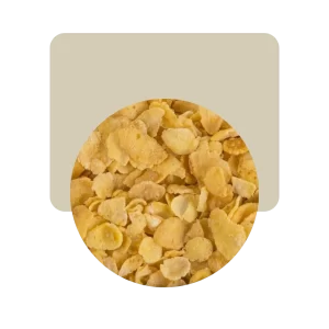 granix copos de maiz 500gr