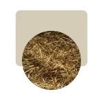 hipericon 50gr