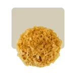 hongos desecados de pino 25gr