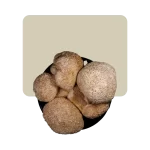 hongos desecados melena de león 25gr
