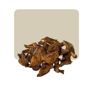 hongos desecados tremella 25gr