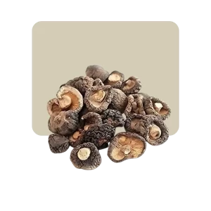 hongos desecados shitake 25gr