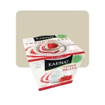 karinat yogur helado frutilla
