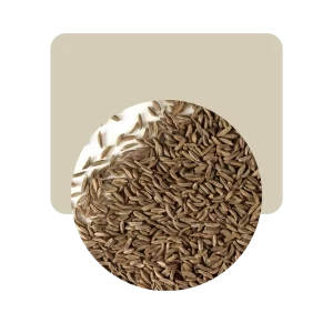 kumel 50gr