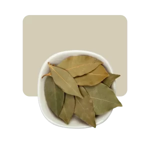 laurel 10gr