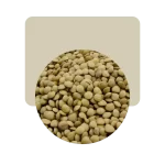 lenteja canadiense 1kg