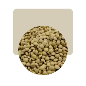 lenteja canadiense 1kg