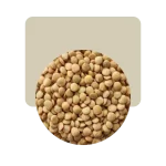 lenteja canadiense 500gr