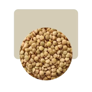 lenteja canadiense 500gr