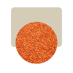 lenteja turca con cáscara 1kg