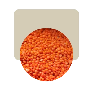lenteja turcas con cáscara 500gr