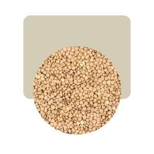 lentejas nacional 500gr