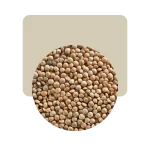 lentejón 1kg