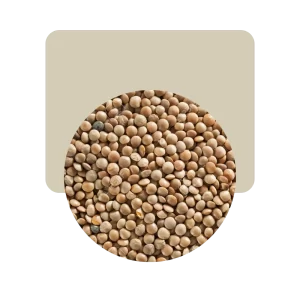 lentejón 1kg