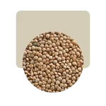 lentejón 500gr
