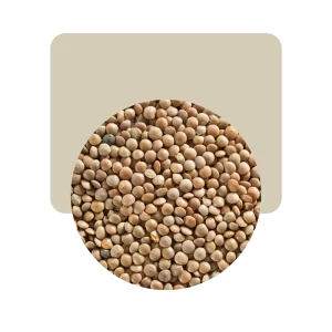 lentejón 500gr